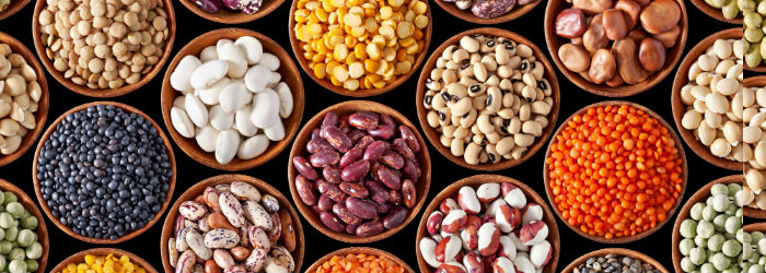 Legumes